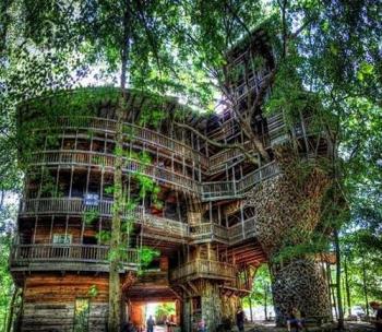 Massive Tree House in Tennesse