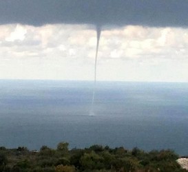Sea Dragon appeared in Batroun