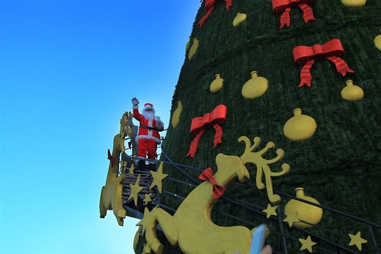 Bnachii Lake Christmas Tree Reaches The Top 17 Most Beautiful Trees In the World