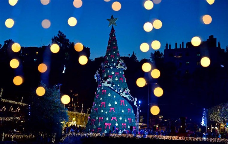 Bnachii Lake Christmas Tree Reaches The Top 17 Most Beautiful Trees In the World