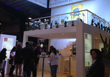Wild Discovery exhibits at Biel Wedding Folies