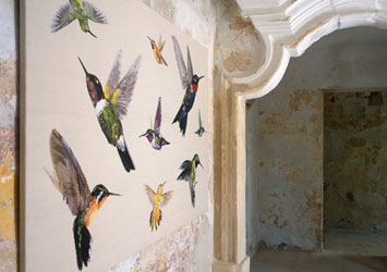 The Rug Company Alexander McQueen Collection