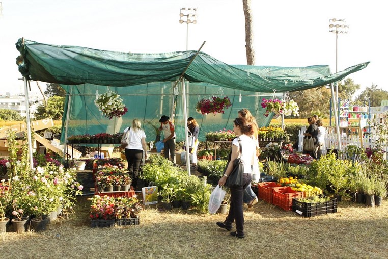 The Garden Show & Spring Festival is turning 10