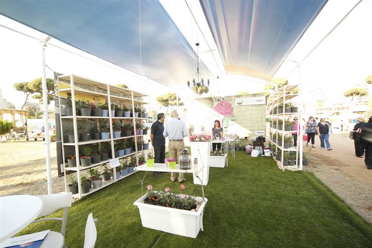 The Garden Show & Spring Festival is turning 10