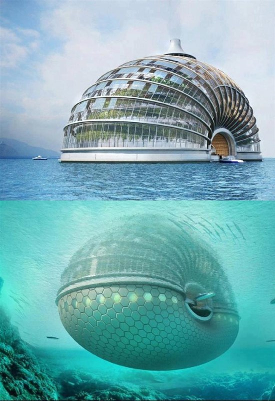 Ark Hotel China