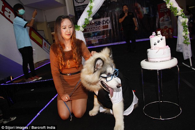 Two dogs are MARRIED in front of 100 guests at ceremony in Indonesia  