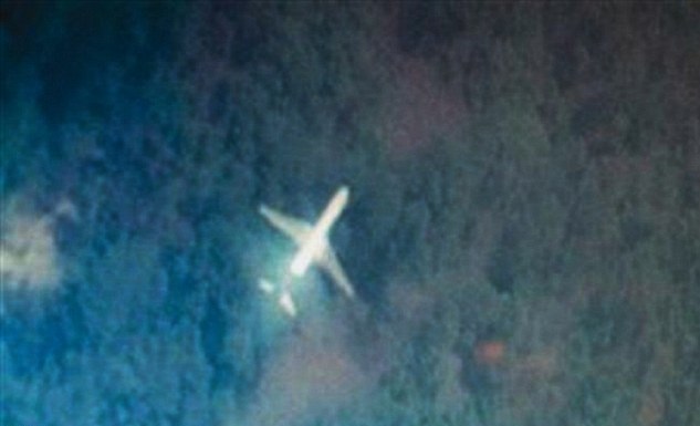 Malaysia Airlines Jet In Pictures
