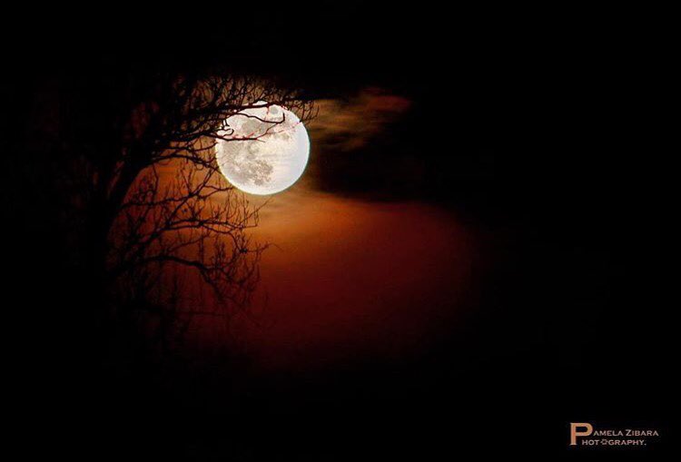 All You Need to Know About The Super Moon