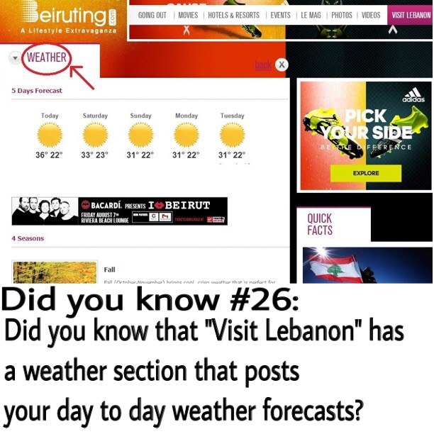 Things You Didn't Know about Beiruting.com