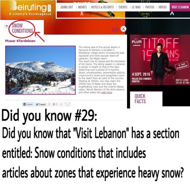 Things You Didn't Know about Beiruting.com