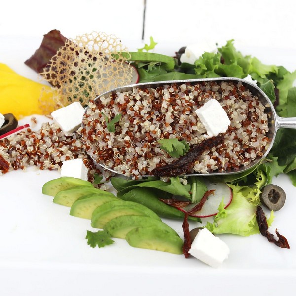 Zen Cuisine your homemade food diet center