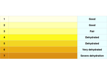 What Your Urine Color Says About Your Health