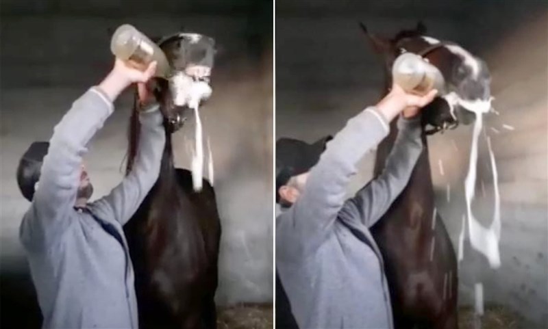 In Video: Man Appears To Force Horse To Drink Champagne After Majorca Race