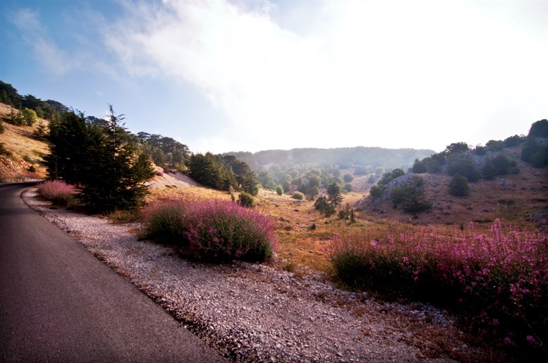 6 Things To Do in Chouf