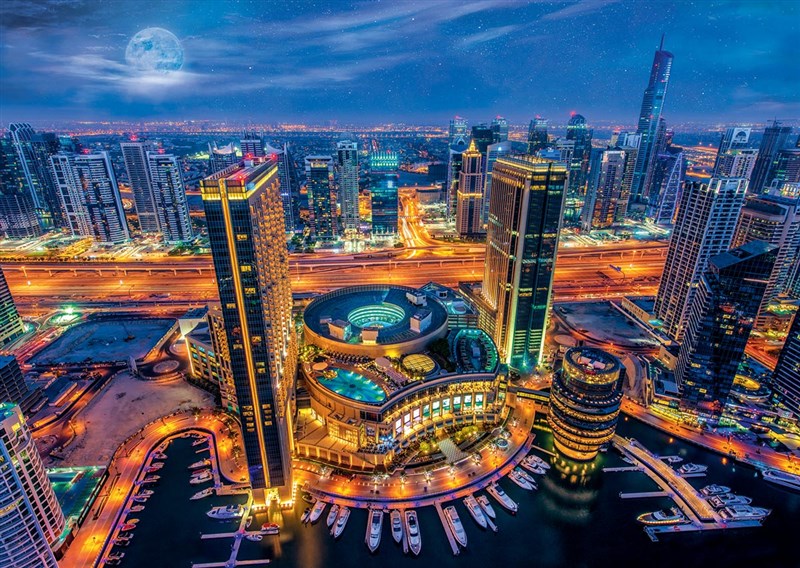 Dubai Electricity enters the Guinness Book of Records