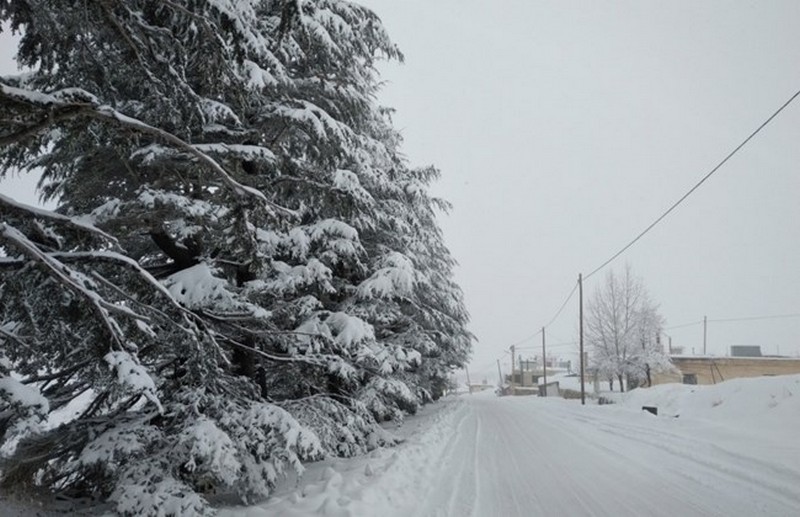 In Pictures and Video: After a long wait the snow has fallen in Lebanon