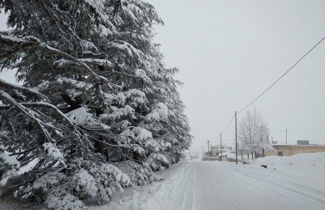 Heavy rain and snowfall: here's the weather conditions for the next coming days