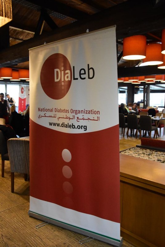 DiaLeb's Lunch for a Cause