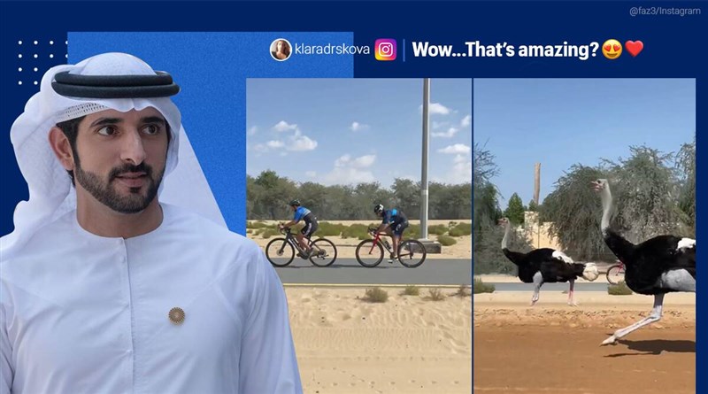 In Video: Dubai crown prince races on his cycle against ostriches