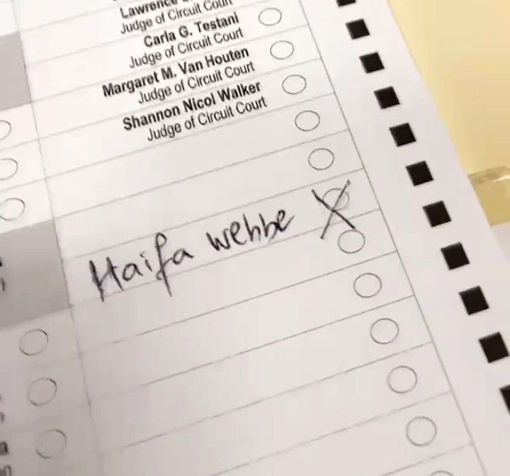 In Pictures: Between Trump and Biden a citizen who voted for Haifa Wehbe in the US presidential elections