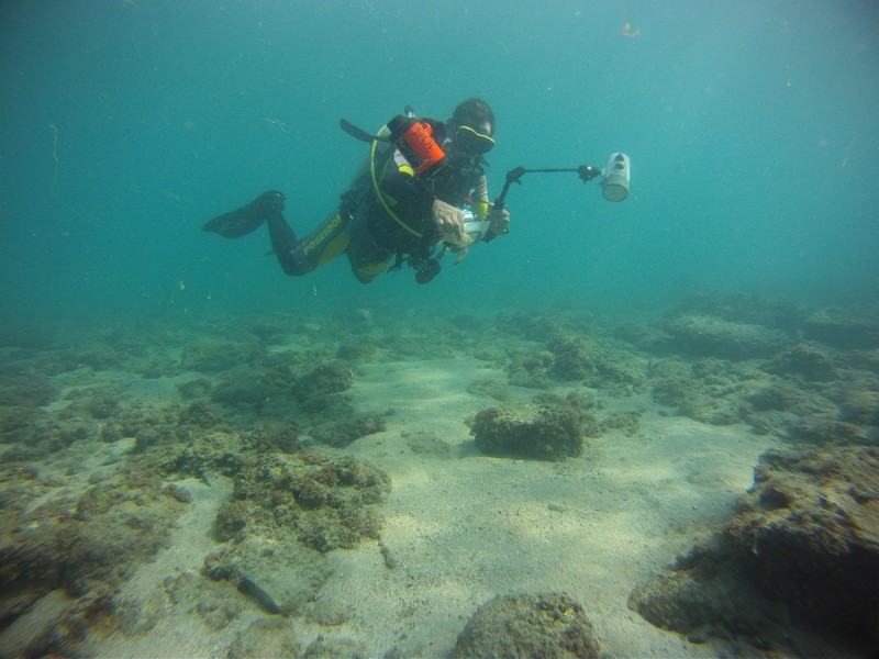 LEBWF'S Underwater Photography contest shining light on Sarafand