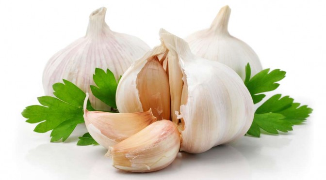 Foods That Help You Lose Weight