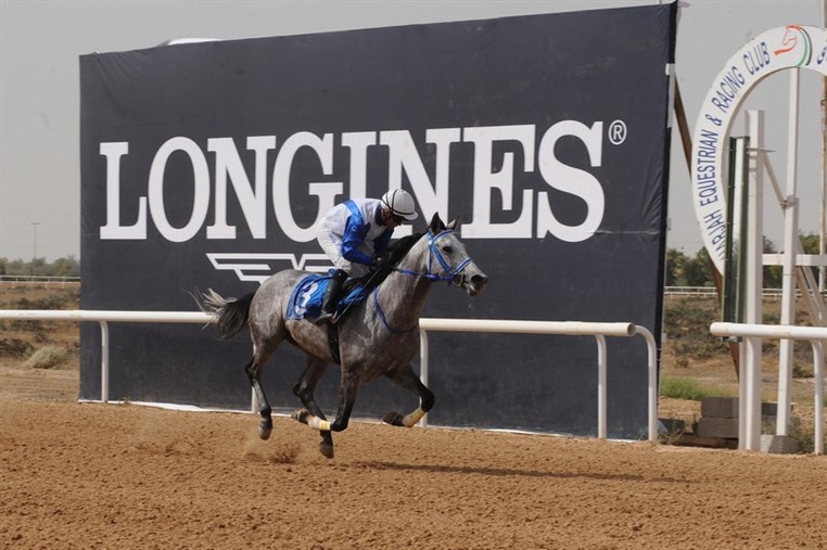 Longines provides a great conclusion to Sharjahs equestrian season with the Sharjah Rulers Cup