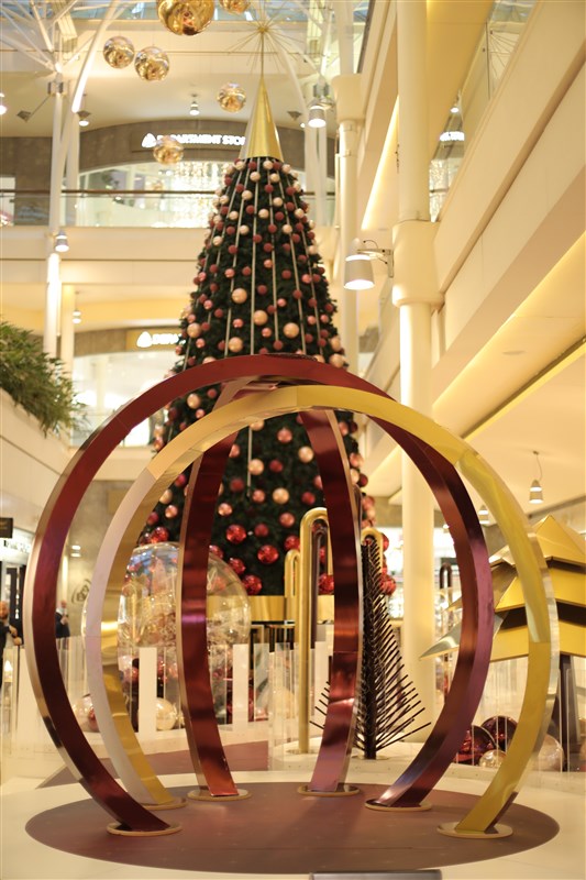 Unwrap the Magic ABC lights up the Christmas tree and spreads the joy of the Holy season