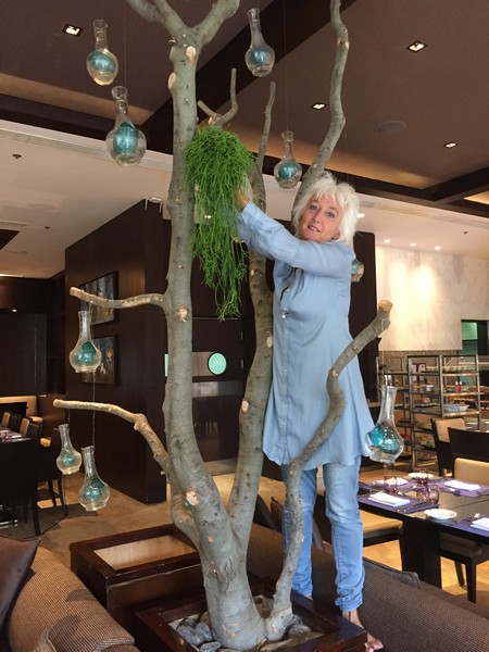 Gefinor Rotana Hotel Turns into Splendid Garden