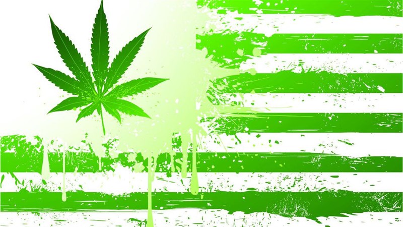 The United States of Weed : Marijuana Just Became Legal in These States