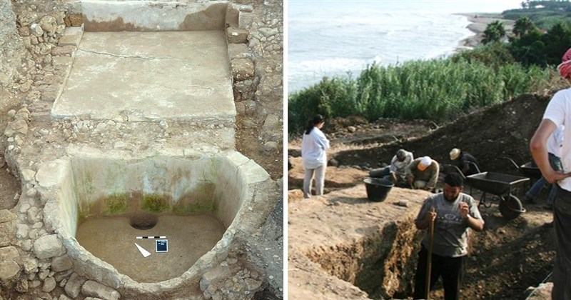In pictures: 2,600-year-old wine 'factory' unearthed in Lebanon