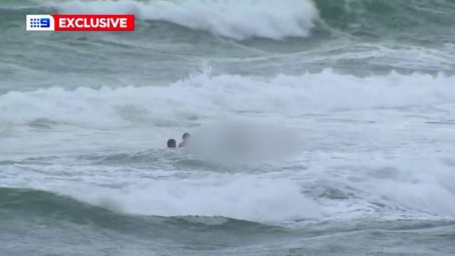 In Video: TV Weatherman Dives Into Ocean After Live Report To Pull Body From The Water
