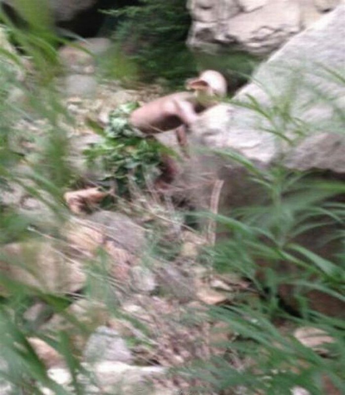 Mystery MONSTER spotted near Great Wall of China 