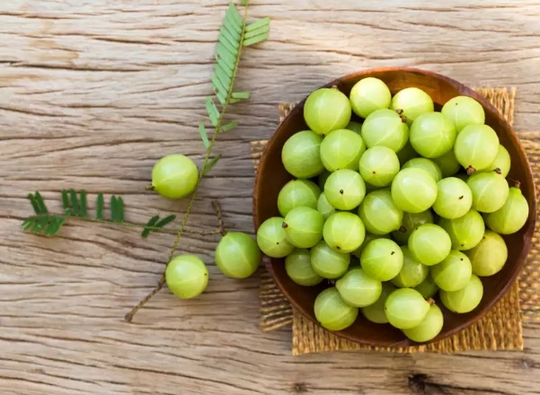 Common Ayurvedic herbs to boost your immunity