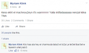 Myriam Klink insults the Ministries of the Environment and Interior affairs