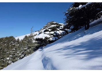 Norma - brings Lebanon strong winds, snow, rainfall