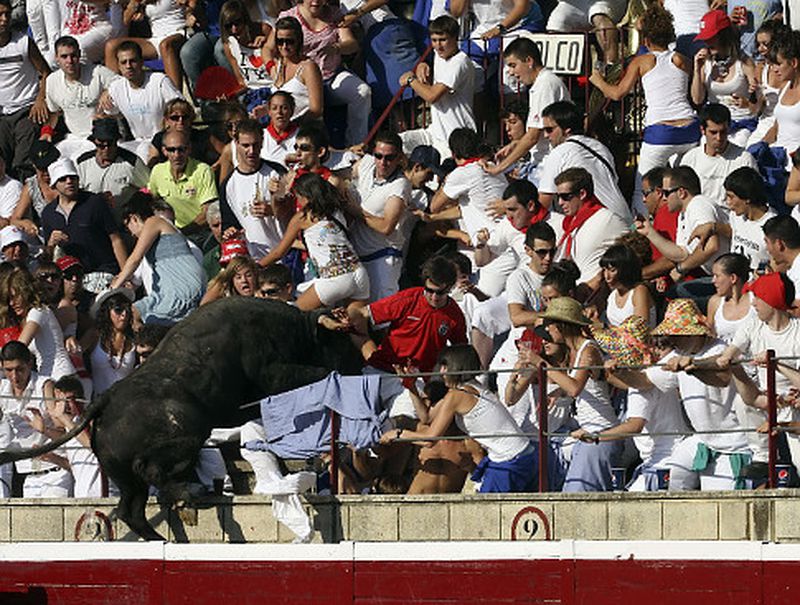 In Video: Angry Bull Jumps Into Crowded Stands In Shocking Video