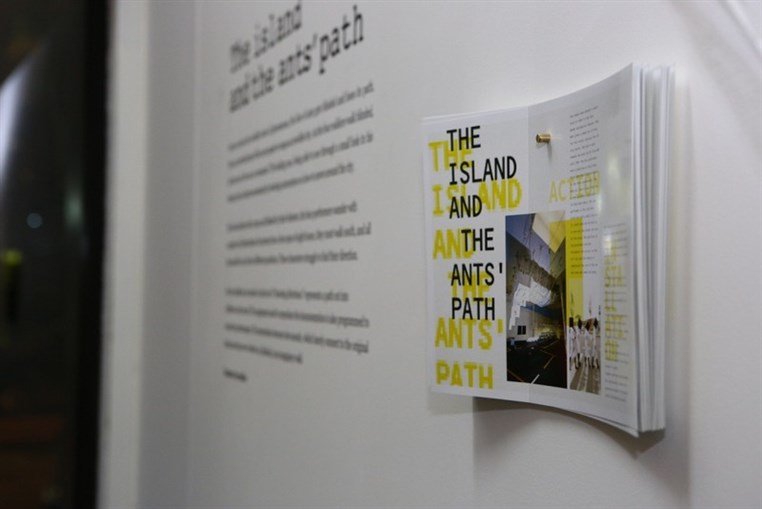 The Island and the Ants Path 