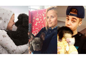 These celebrities have a true zoo in their homes