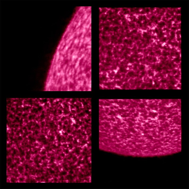 Solar Orbiter Closest ever pictures taken of the Sun