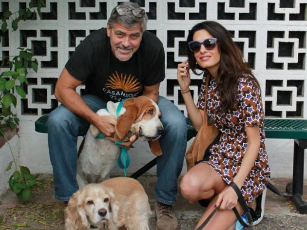 Amal and George Clooney have ADOPTED