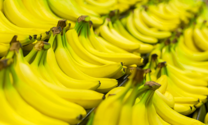 Fast-spreading fungus could drive bananas to extinction