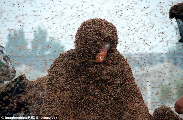 Chinese man sets new world record as he lets ONE MILLION bees swarm over his body
