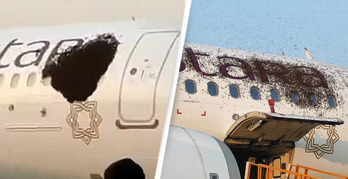 Passenger Planes Grounded After Huge Swarm Of Bees Surround Aircraft