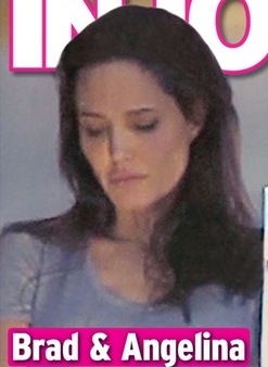 Angelina Jolies  public fight with Brad Pitt