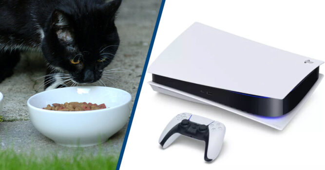 Amazon Apologises For Customers Receiving Cat Food Instead Of PlayStation 5