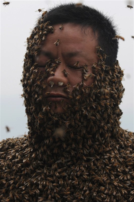 Chinese Man Covers His Entire Body in Bees