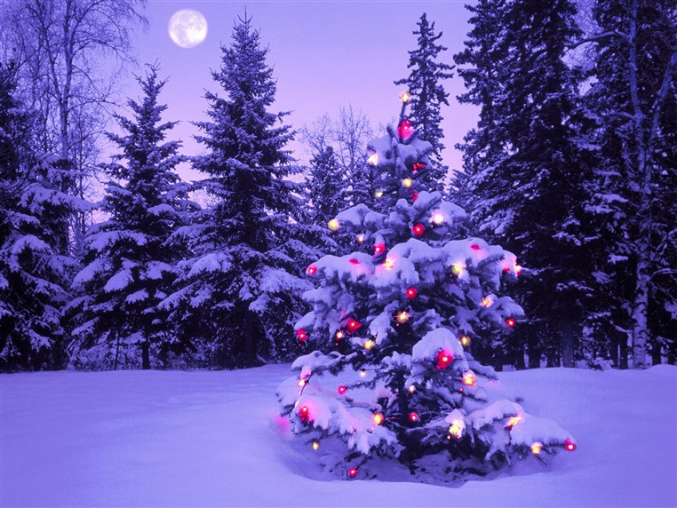Full Moon to Rise on Christmas for First Time Since 1977