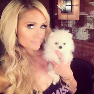 What Paris Hilton bought for 13000$