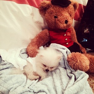 What Paris Hilton bought for 13000$